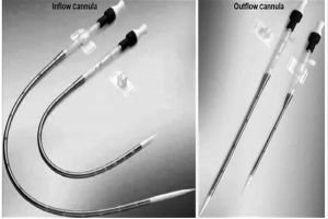 PowerClip Rectangle (2)