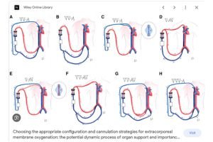 PowerClip Rectangle (4)