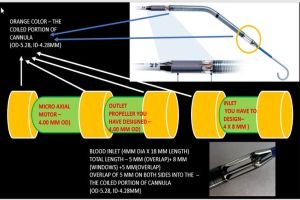 PowerClip Rectangle (6)