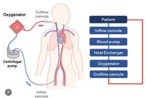 PowerClip Rectangle (8)